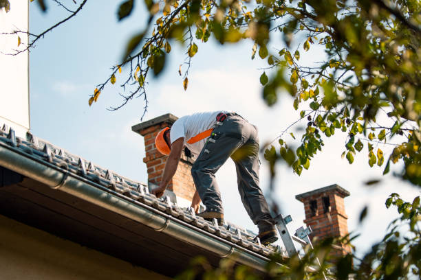Best Metal Roofing Contractor  in Etowah, NC
